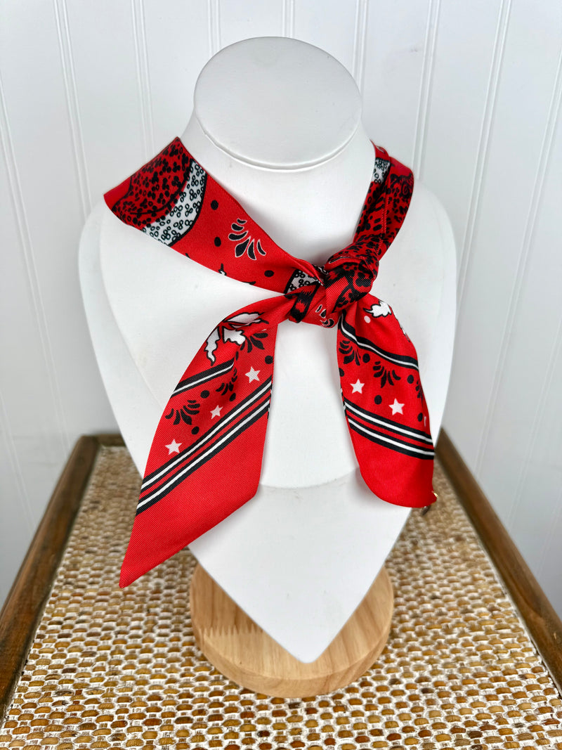 Hart Designs- Calling the Dawgs Scarf Necklace