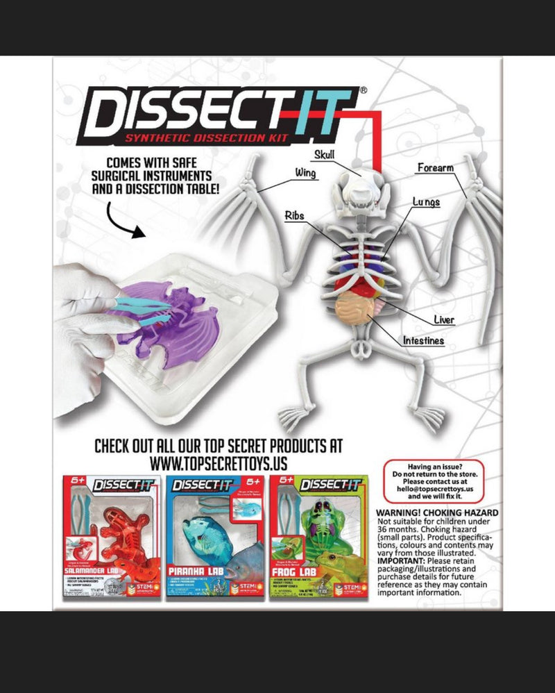 Dissect It - Bat Lab