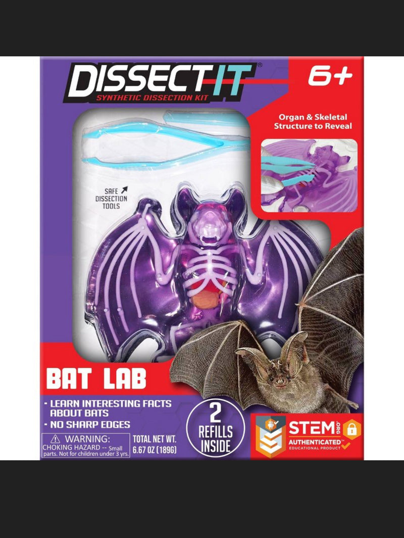 Dissect It - Bat Lab