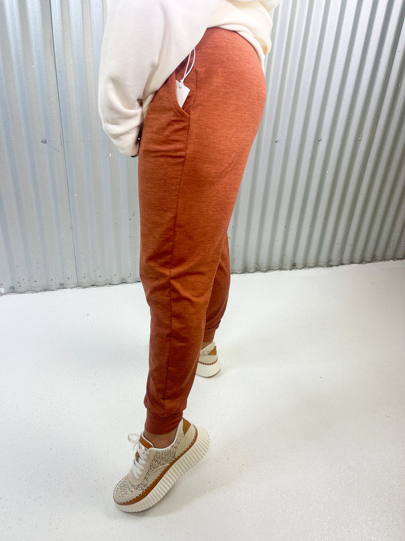 Z Supply Ultra Soft Daytime Jogger- Penny