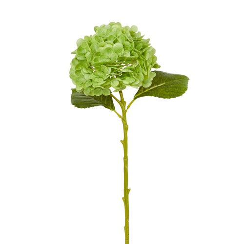 Raz - 19" Real Touch Green Hydrangea Stem
