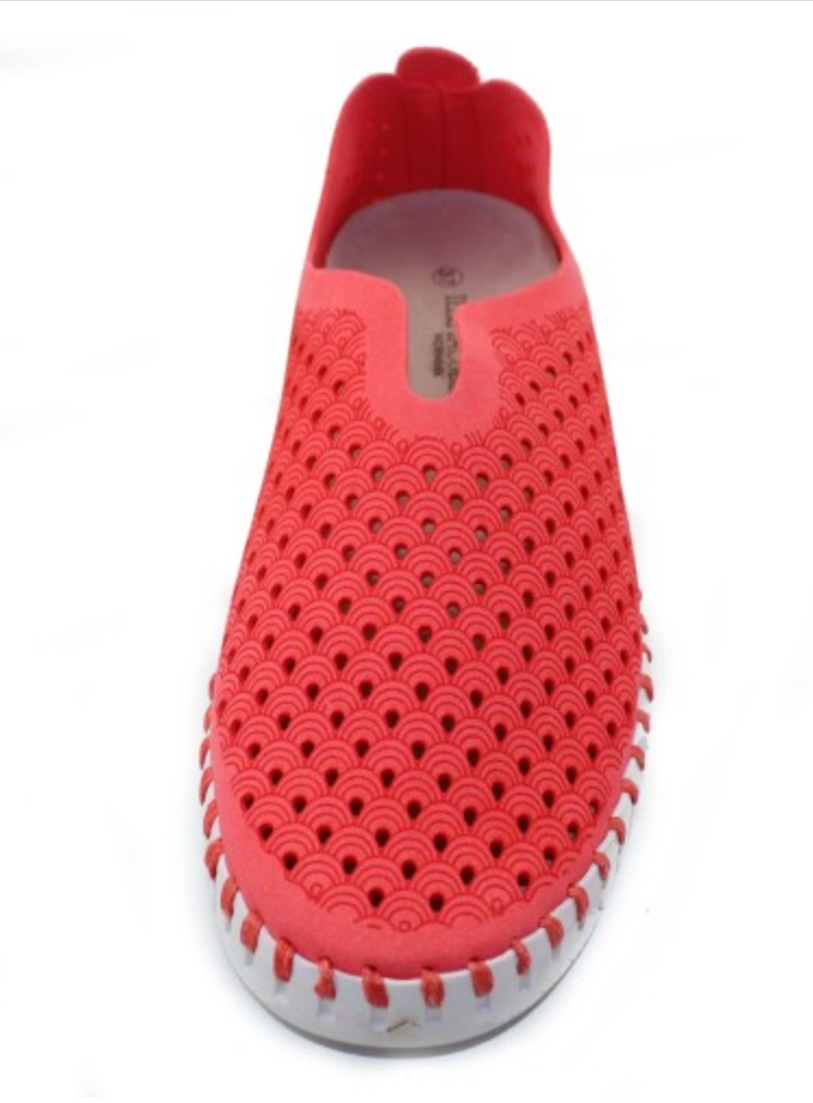 Tulip Slip On Sneaker - Raspberry