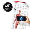 Abacus- Virtual Reality- Human Body!