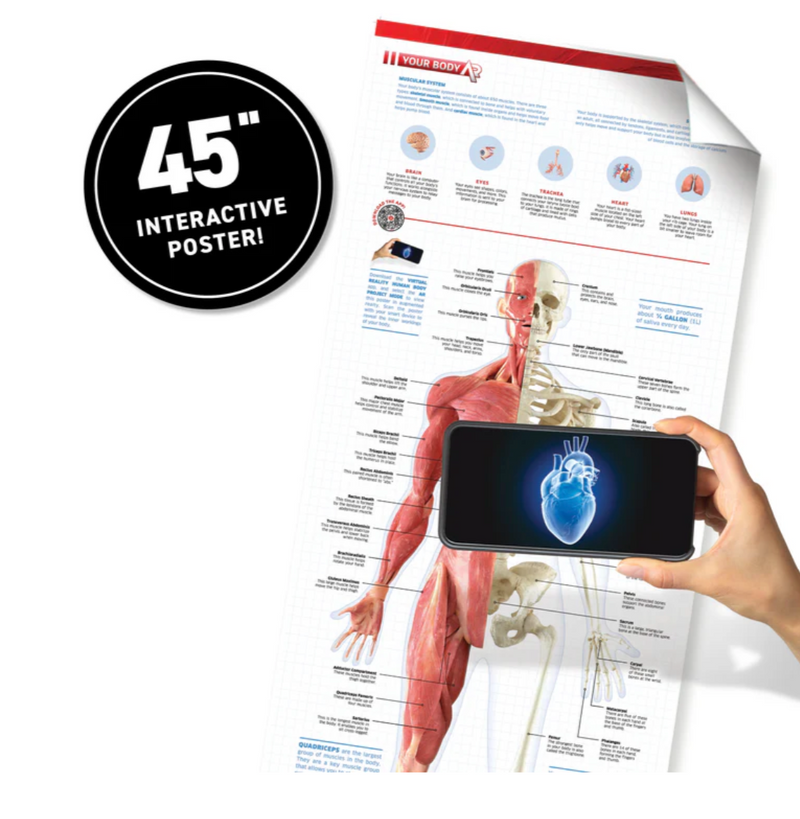Abacus- Virtual Reality- Human Body!