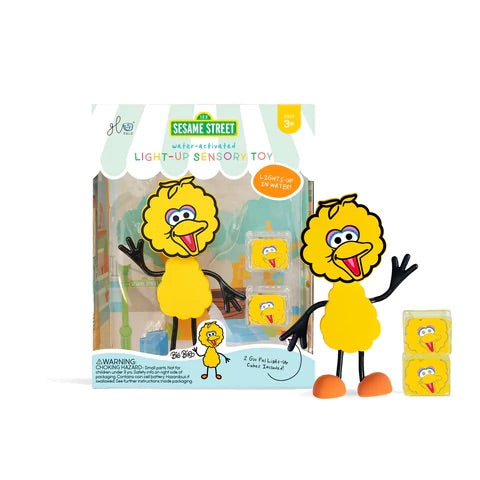 Big Bird Sensory Glo Pal Toy